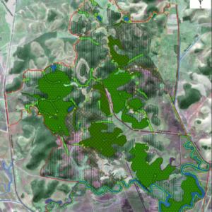 Elo Soluções Sustentáveis - consultoria ambiental e florestal