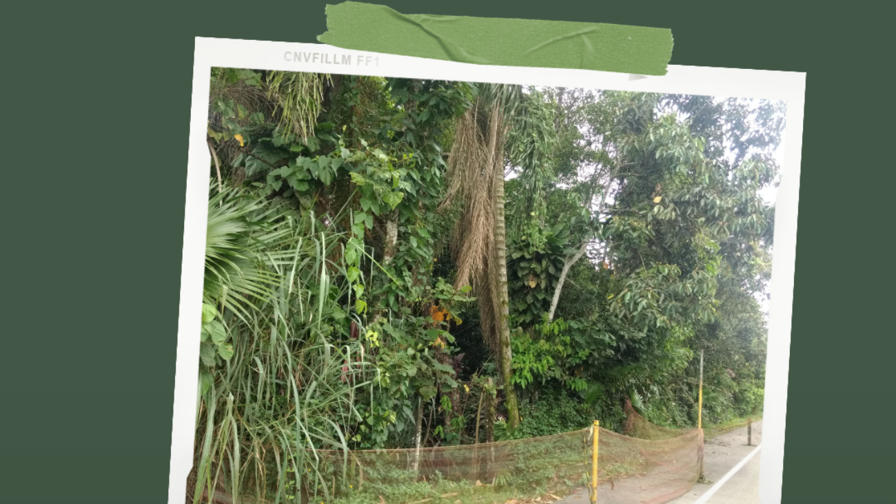 Post-para-instagram-de-dia-do-biologo-colorido-verde-e-branco