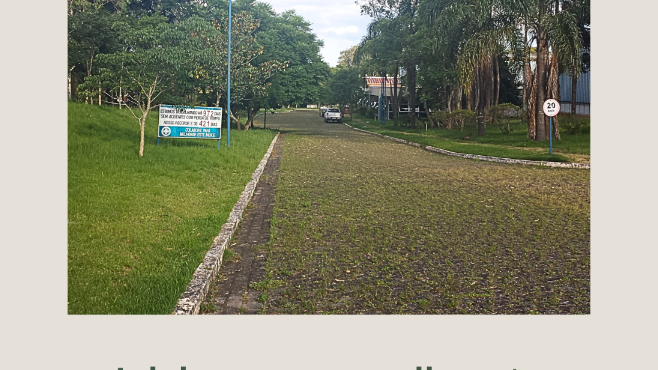 MEIO AMBIENTE É TEMA TRANSVERSAL PARA TODAS AS ÁREAS!