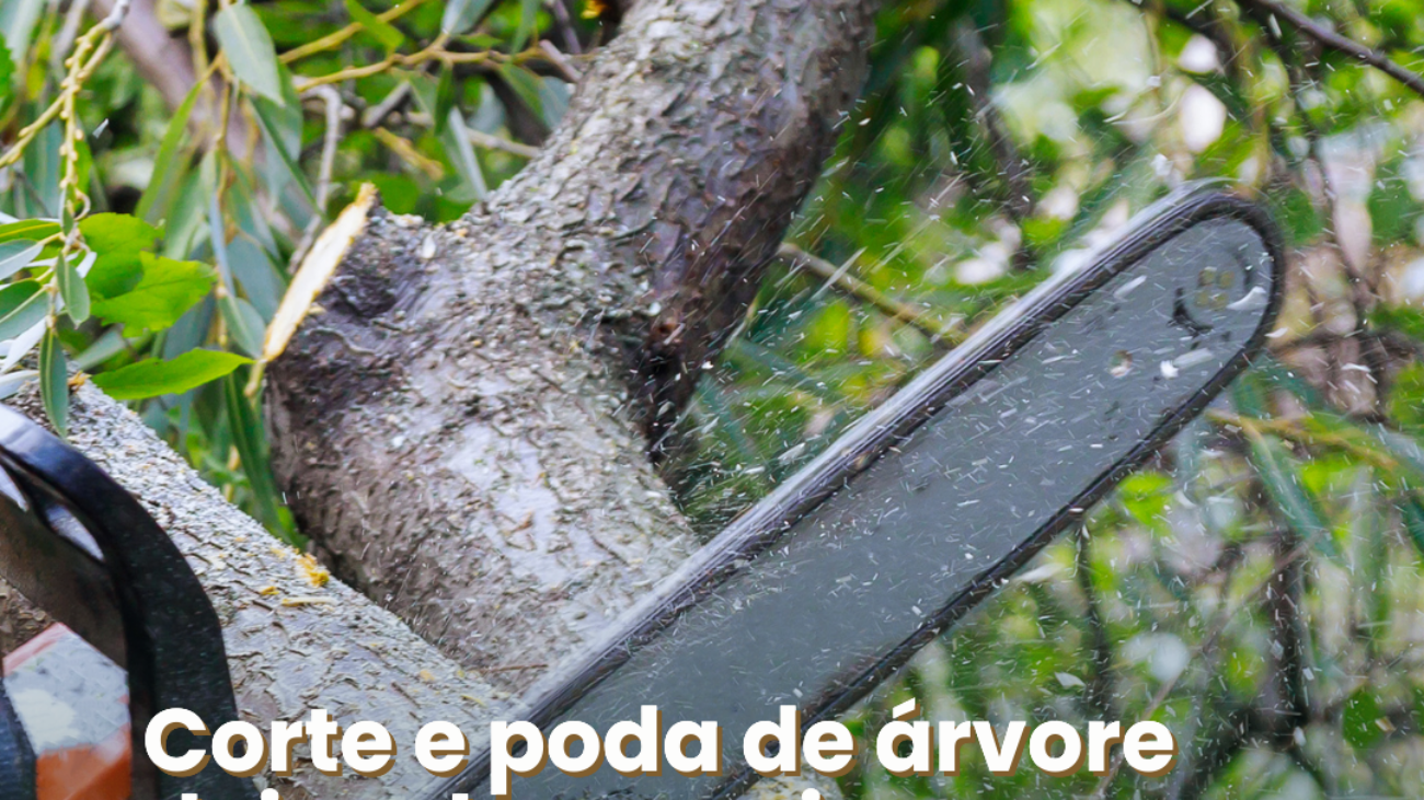 09 a 1302 - Corte e poda de arvore