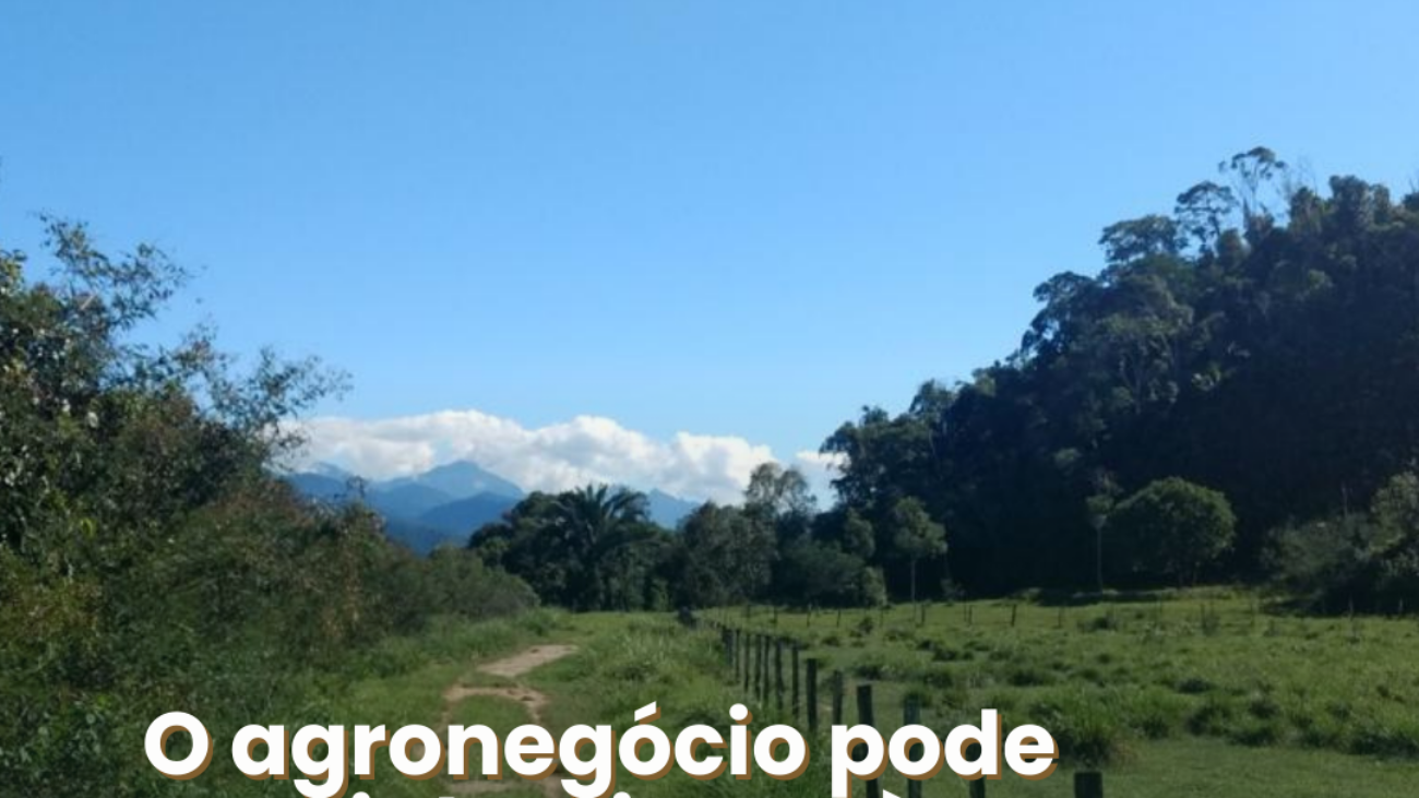 09 a 1303 - Agro sustentavel