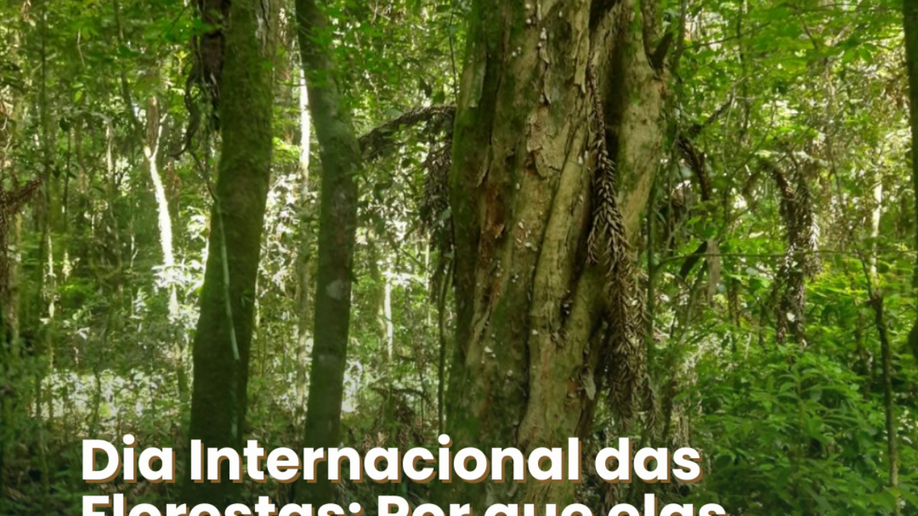 2103 - Dia Internacional das Florestas
