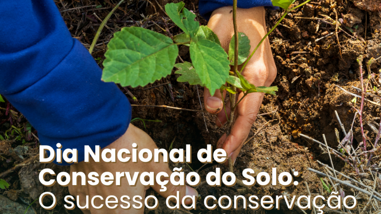 1504 - Dia do solo