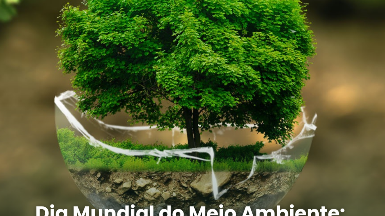 Design-_Elo_(58)