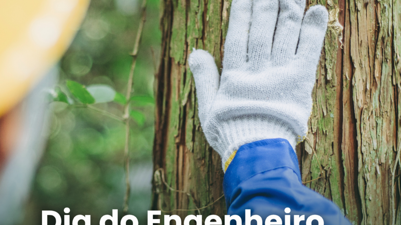 Design- Elo