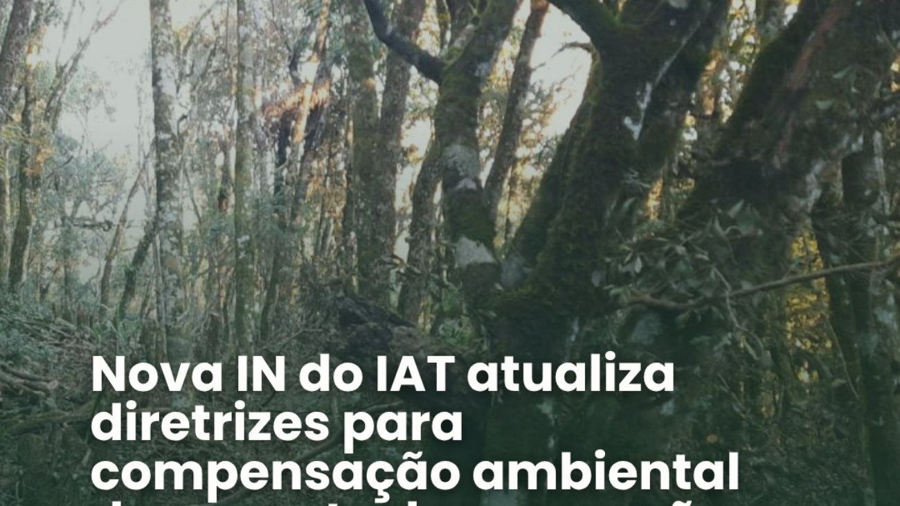 IN IAT - ELo
